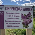 «Я знаю - саду цвесть …»