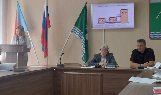 Публичные слушания по исполнению бюджета - обязательная процедура