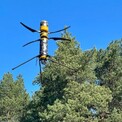 Благодаря системной работе во Владимирской области удалось сократить количество лесных пожаров