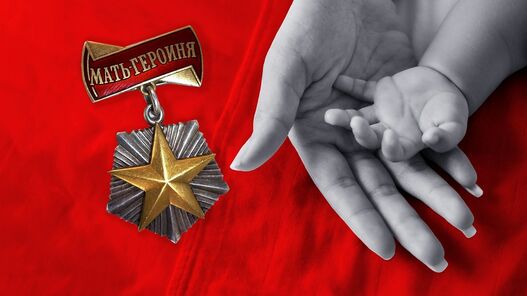 Отделение СФР по Владимирской области проактивно назначило ежемесячную денежную выплату четырём матерям-героиням