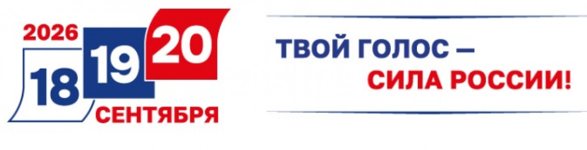 О порядке голосования в Селивановском округе