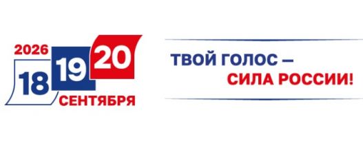 О порядке голосования в Селивановском округе