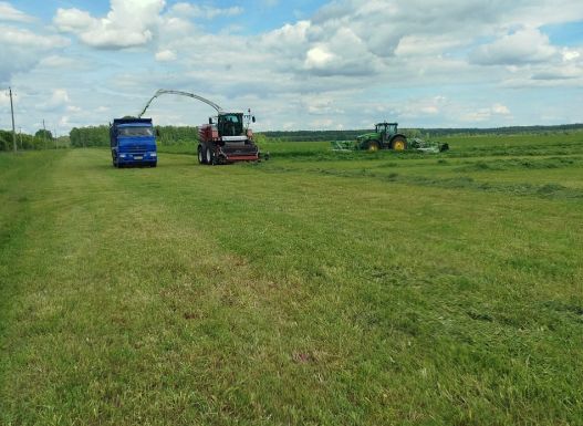 Урожай собран, корма заготовлены